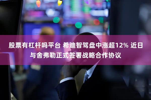 股票有杠杆吗平台 希迪智驾盘中涨超12% 近日与舍弗勒正式签署战略合作协议